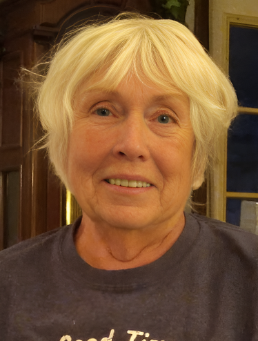 Patricia Ann Hoare